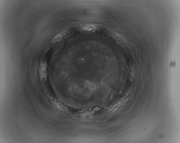 X0000100351394200806130942