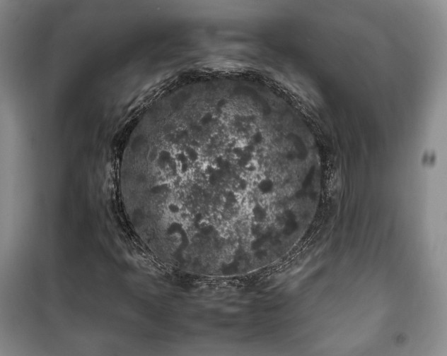 X0000100351397200806130942
