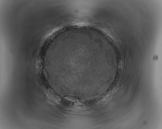 X0000100351398200806130942