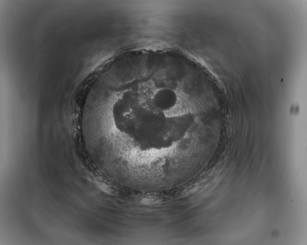 X0000100351399200806130942