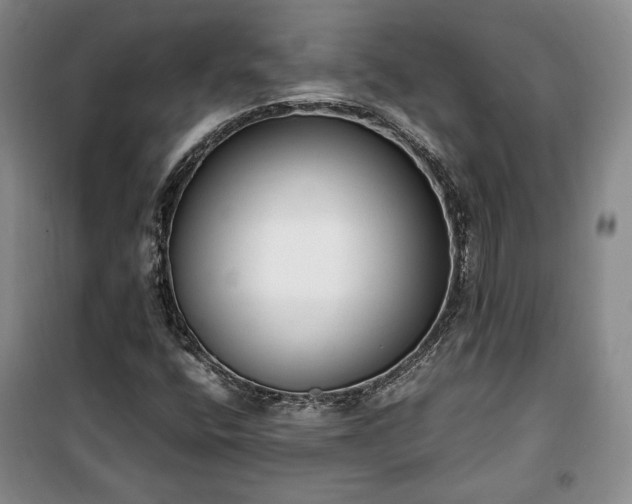 X0000100351400200806130942