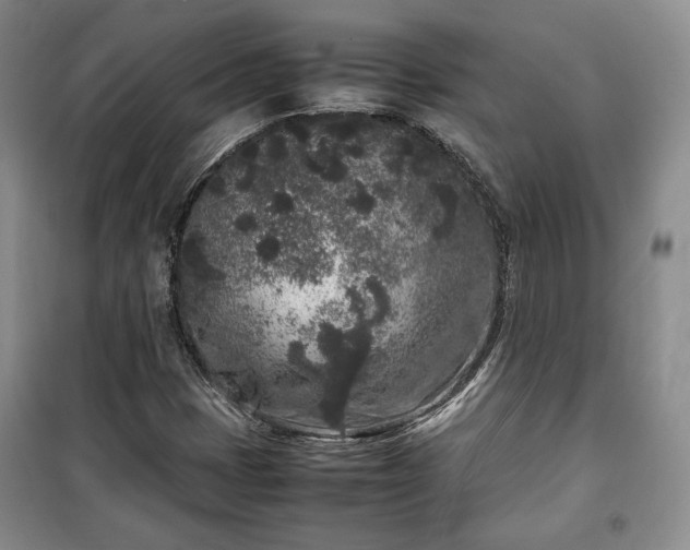 X0000100351401200806130942