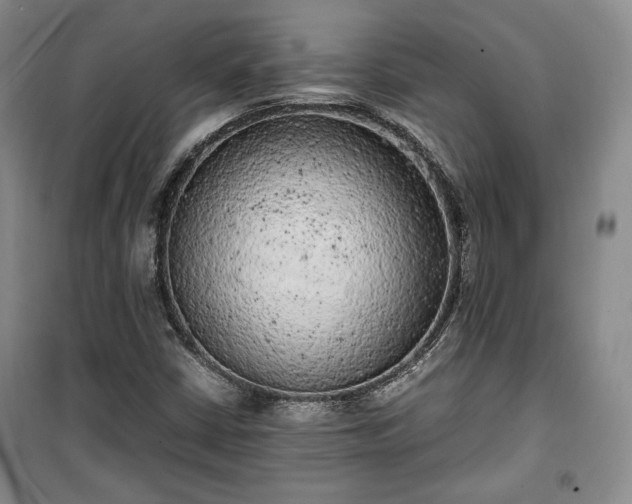 X0000100351402200806130942