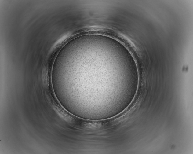 X0000100351403200806130942
