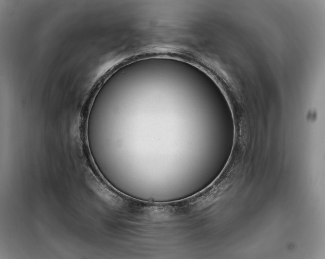 X0000100351404200806130942