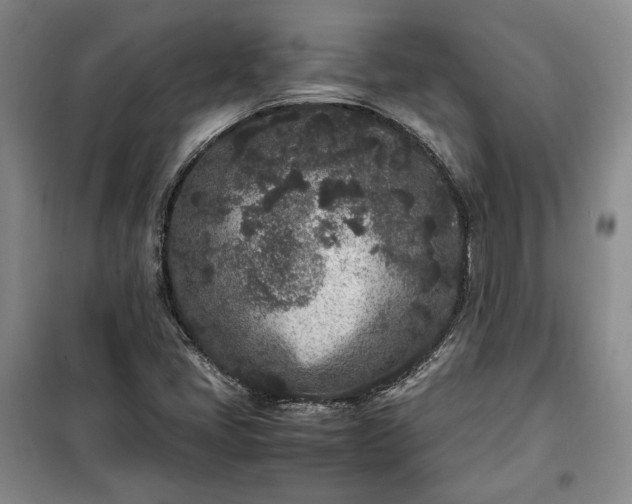 X0000100351405200806130942