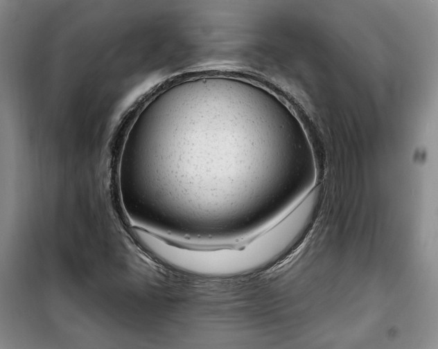 X0000100351406200806130942