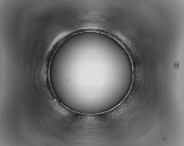 X0000100351408200806130942