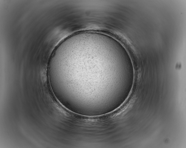 X0000100351409200806130942
