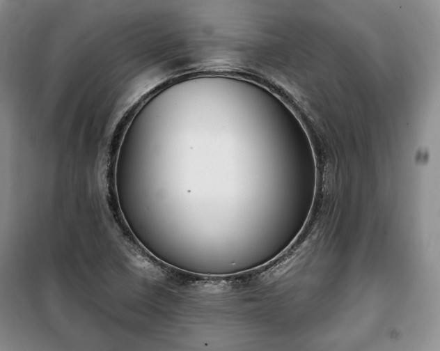 X0000100351410200806130942