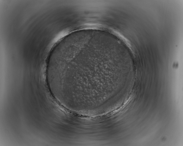 X0000100351411200806130942