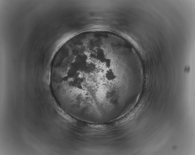 X0000100351413200806130942
