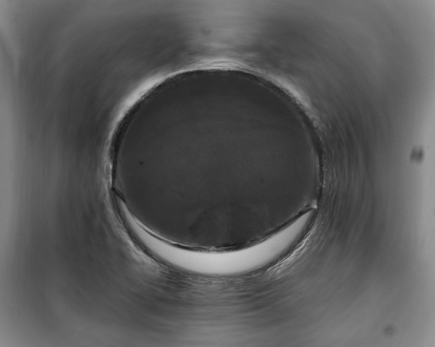 X0000100351414200806130942