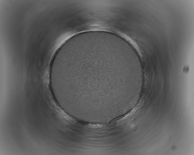 X0000100351415200806130942
