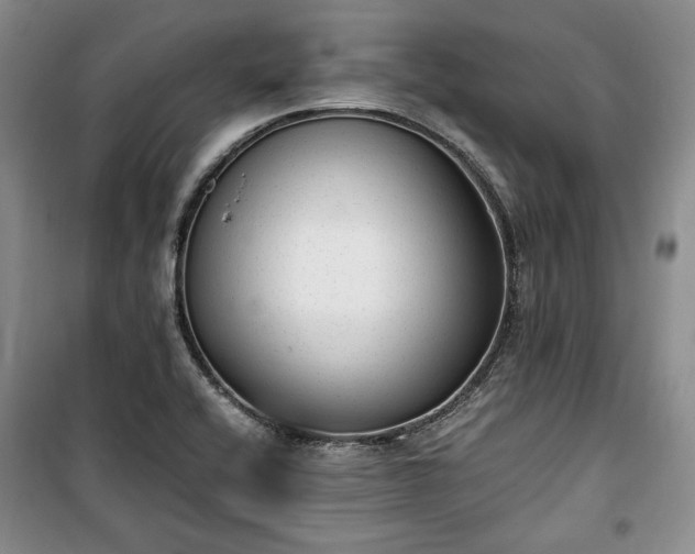 X0000100351416200806130942