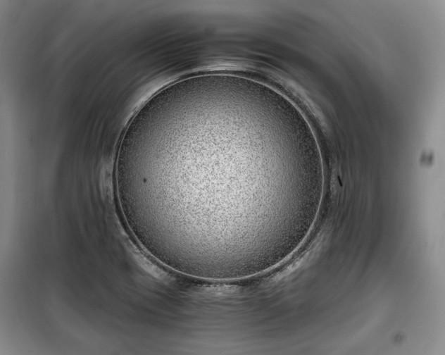 X0000100351417200806130942