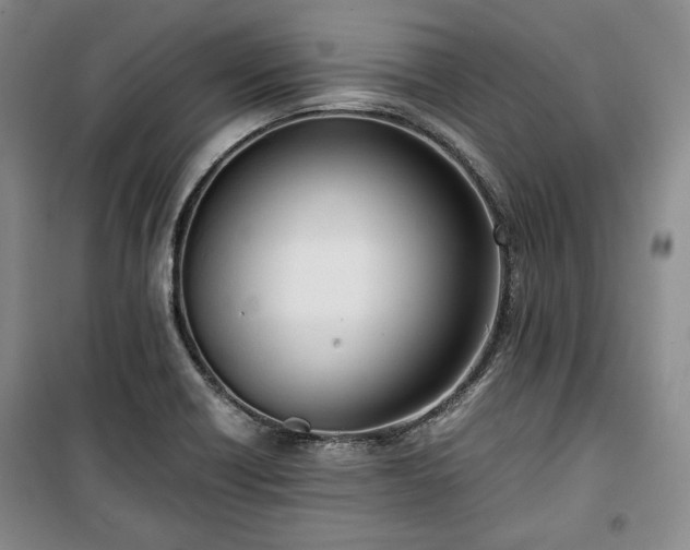 X0000100351418200806130942