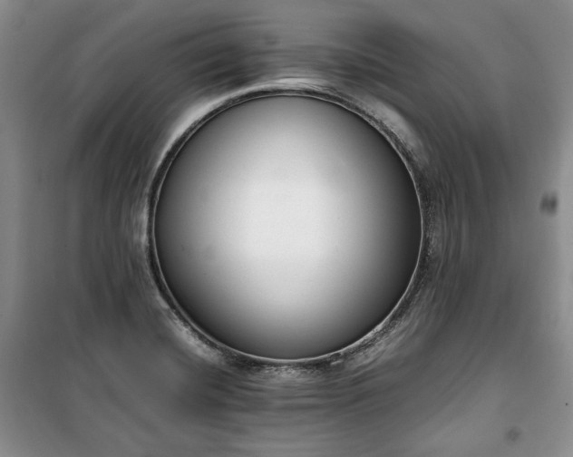 X0000100351420200806130942