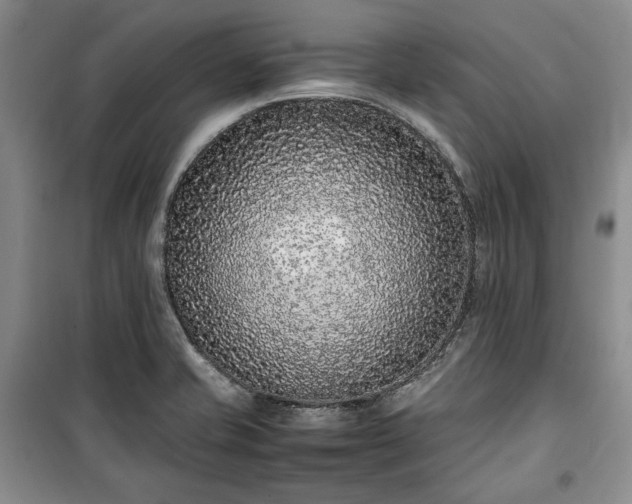 X0000100351421200806130942