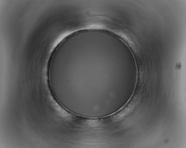 X0000100351422200806130942