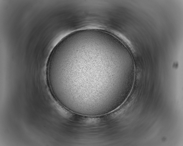 X0000100351423200806130942