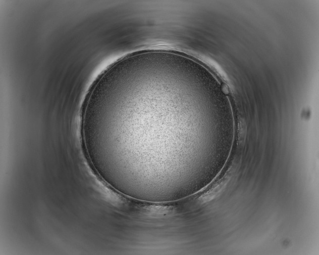 X0000100351424200806130942