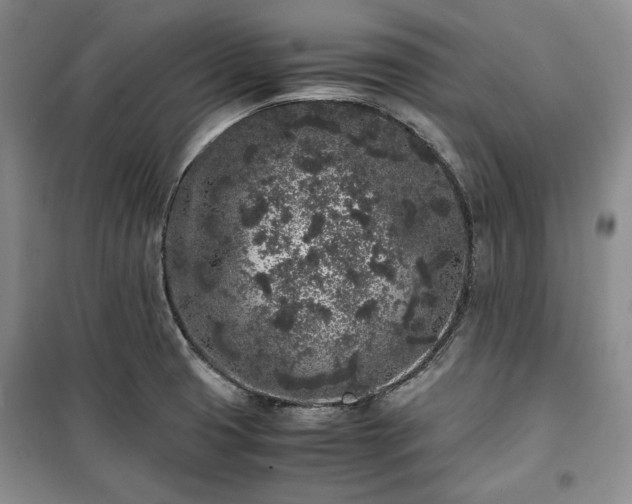 X0000100351425200806130942