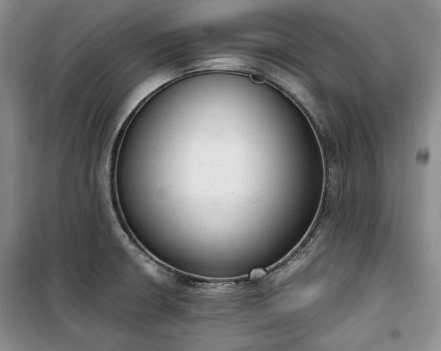 X0000100351426200806130942