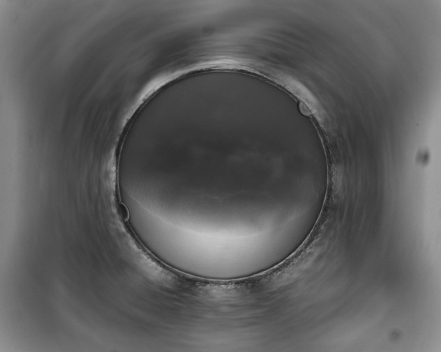 X0000100351428200806130942