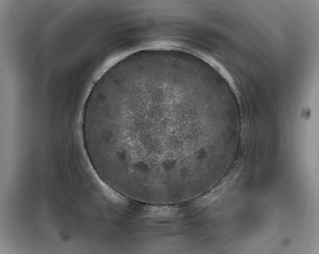 X0000100351429200806130942