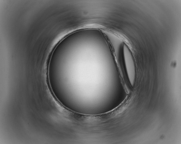 X0000100351430200806130942