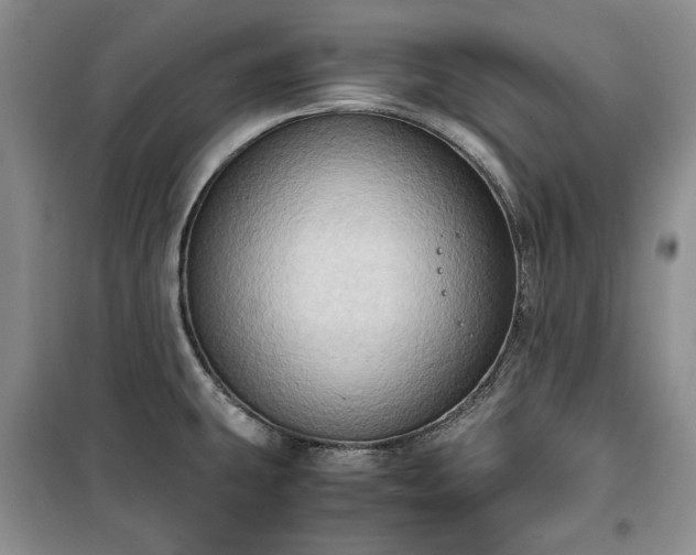 X0000100351431200806130942