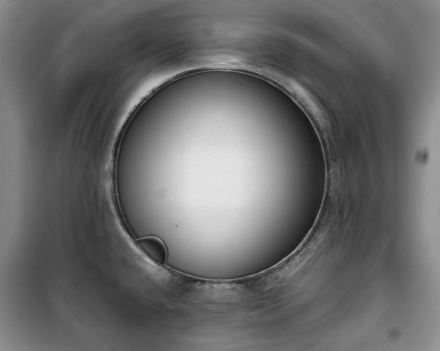 X0000100351432200806130942
