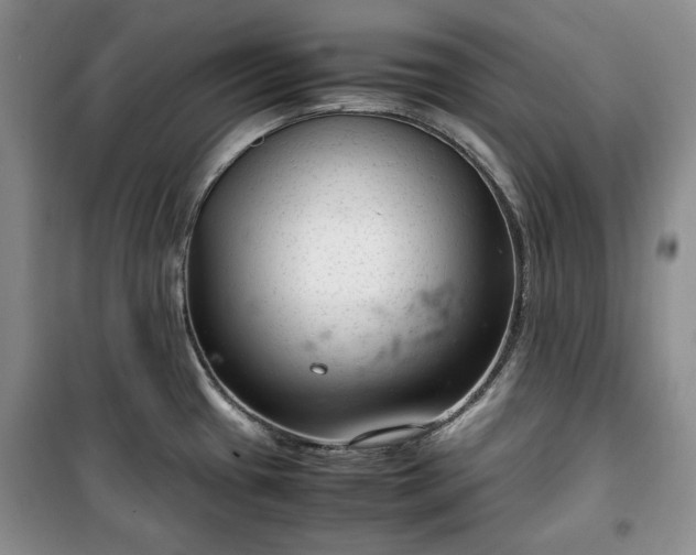 X0000100351433200806130942