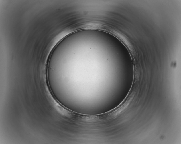 X0000100351434200806130942