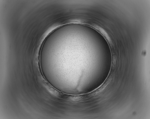 X0000100351435200806130942