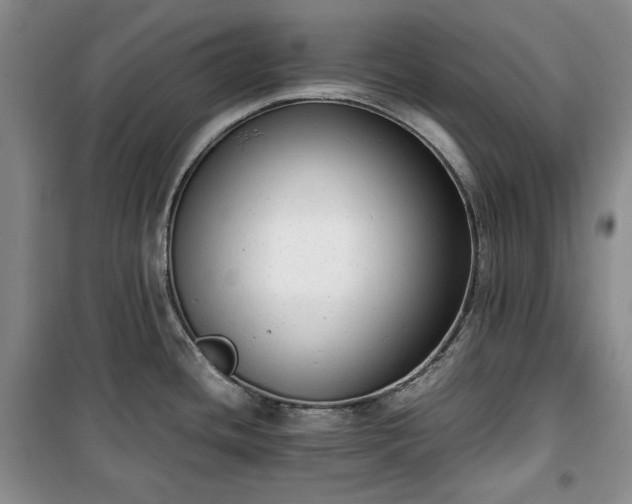 X0000100351436200806130942