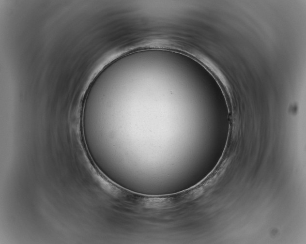 X0000100351437200806130942