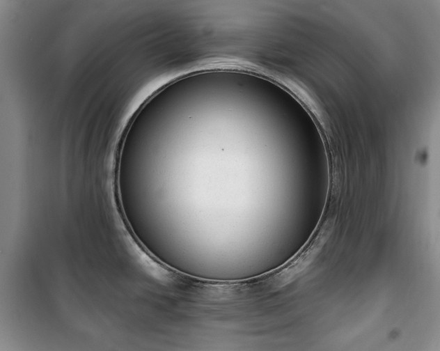 X0000100351438200806130942