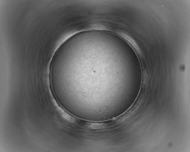 X0000100351439200806130942