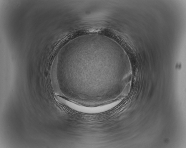 X0000100351441200806130942