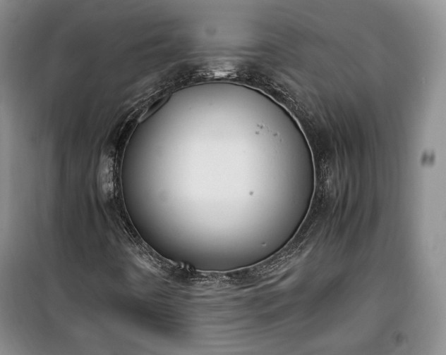 X0000100351442200806130941