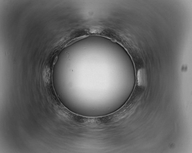 X0000100351443200806130941