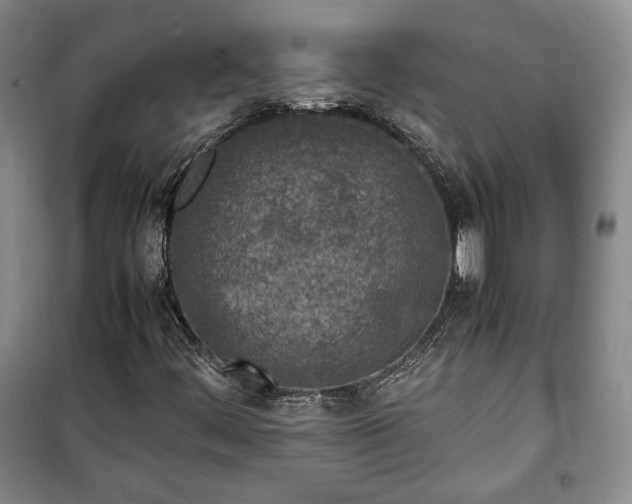 X0000100351444200806130941