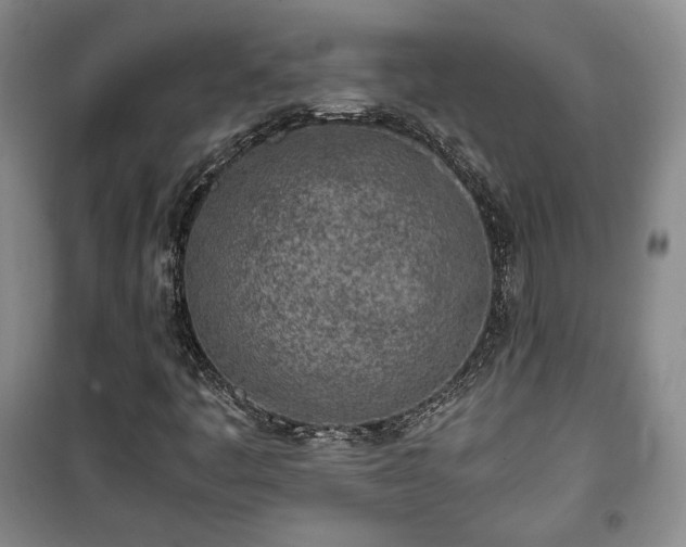 X0000100351445200806130941