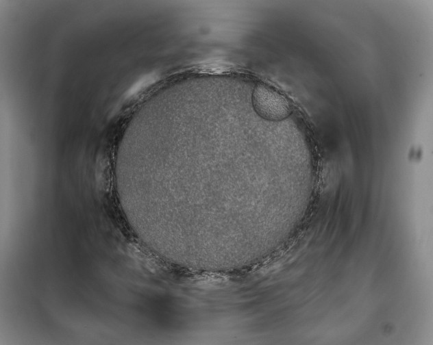 X0000100351446200806130941