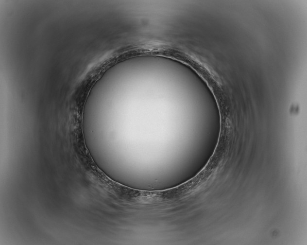 X0000100351447200806130941