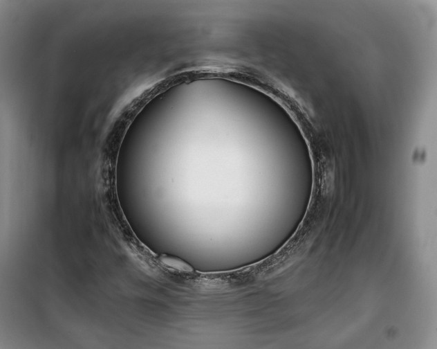 X0000100351448200806130941