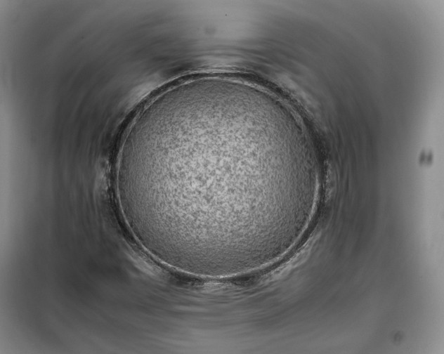 X0000100351449200806130941