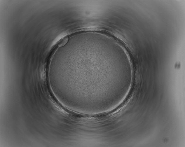 X0000100351450200806130941